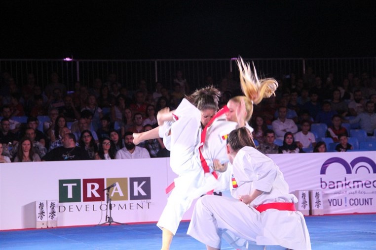 Martial Arts Festival